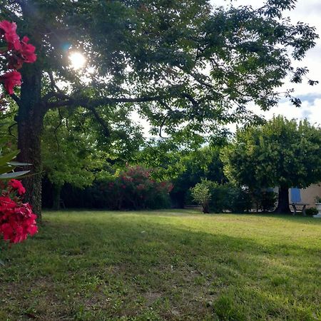 Le Petit Mas Des Alpilles En Provence Villa Saint-Étienne-du-Grès Eksteriør billede